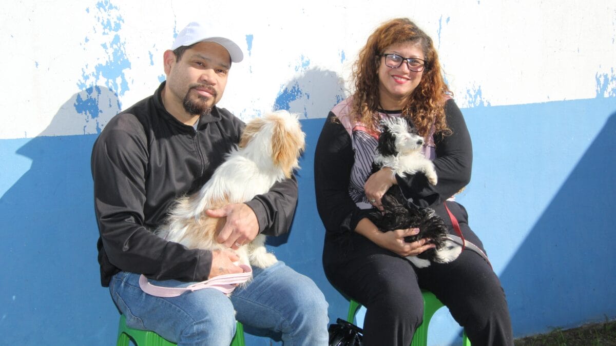 Departamento atende c&atilde;es e gatos gratuitamente