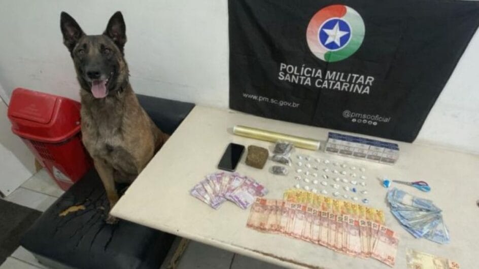 Dono de mercearia preso em Araranguá