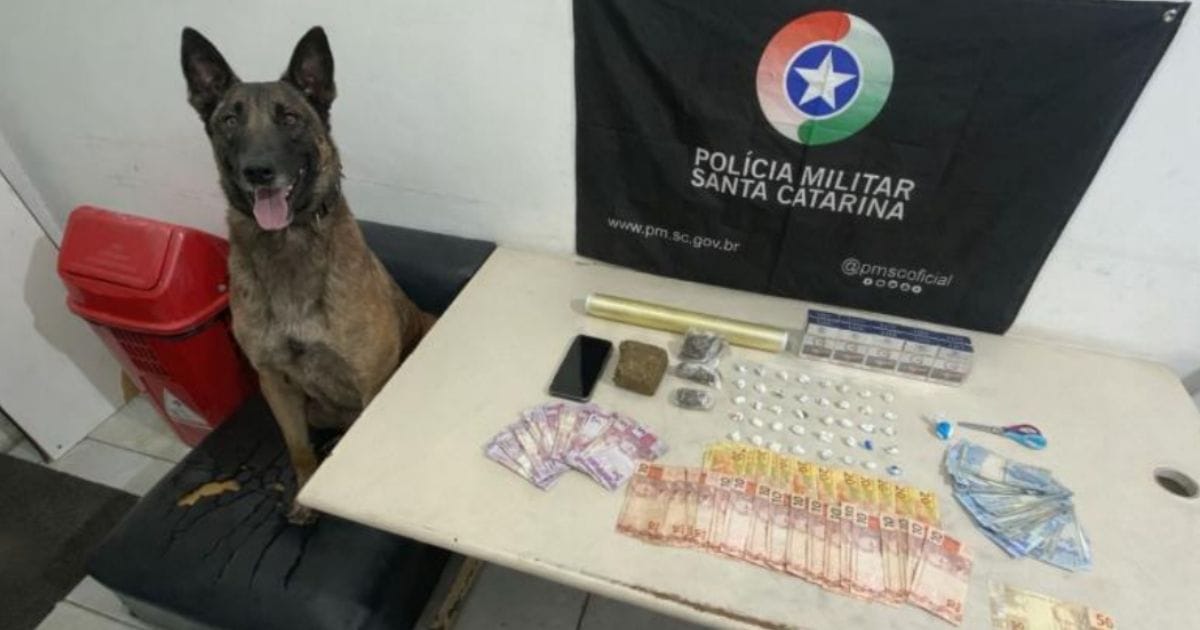 Dono de mercearia preso em Araranguá
