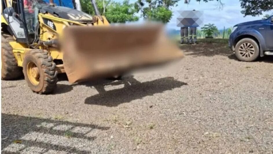 Chacina de cães em Herval d’Oeste