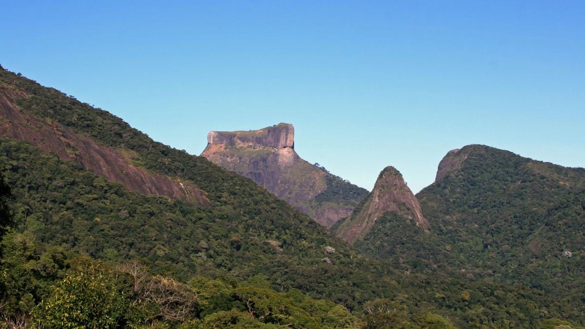 Região do Alto da Boa Vista, cercada por vegetação, apresenta temperaturas mais amenas e maior umidade do ar em comparação com áreas densamente urbanizadas da cidade. Foto: Wikimedia Commons/Halley Pacheco de Oliveira
