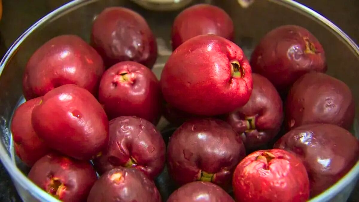 Fruta da infância: jambo tem ação preventiva contra infarto e ajuda a regular a pressão arterial