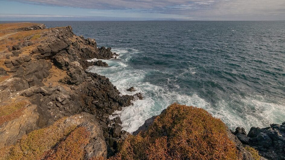 Segundo o Ministério do Meio Ambiente, a presença das tartarugas é considerada decisiva para a dinâmica natural da ilha (Foto: The Official CTBTO Photostream/Wikimedia Commons)