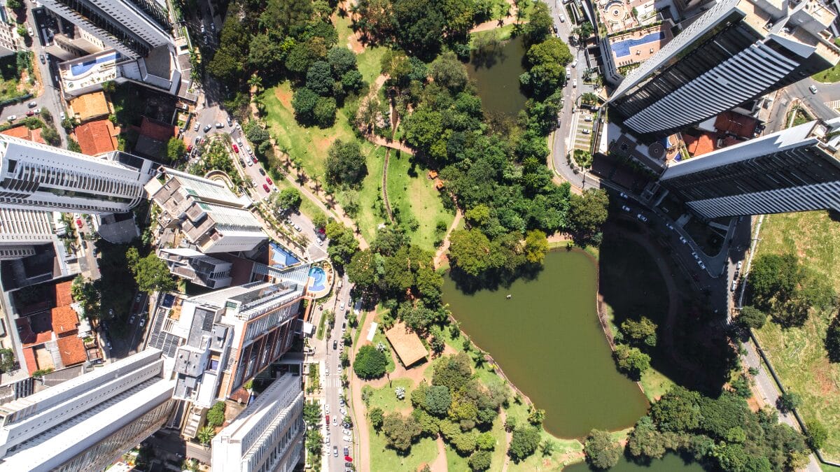 Goiânia é eleita pela ONU a cidade mais arborizada do mundo_ saiba como pedir plantio gratuito na sua calçada (3)