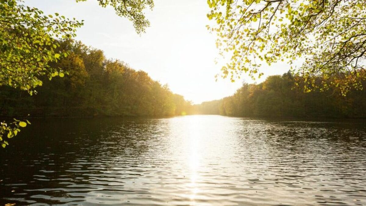 Vista de um rio largo e tranquilo ao p&ocirc;r do sol, com &aacute;rvores nas margens refletidas na &aacute;gua sob uma luz dourada.
