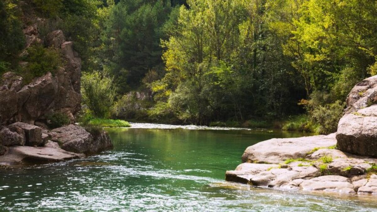 Um rio de &aacute;guas r&aacute;pidas cercado por vegeta&ccedil;&atilde;o verde exuberante e &aacute;rvores com flores brancas nas margens.