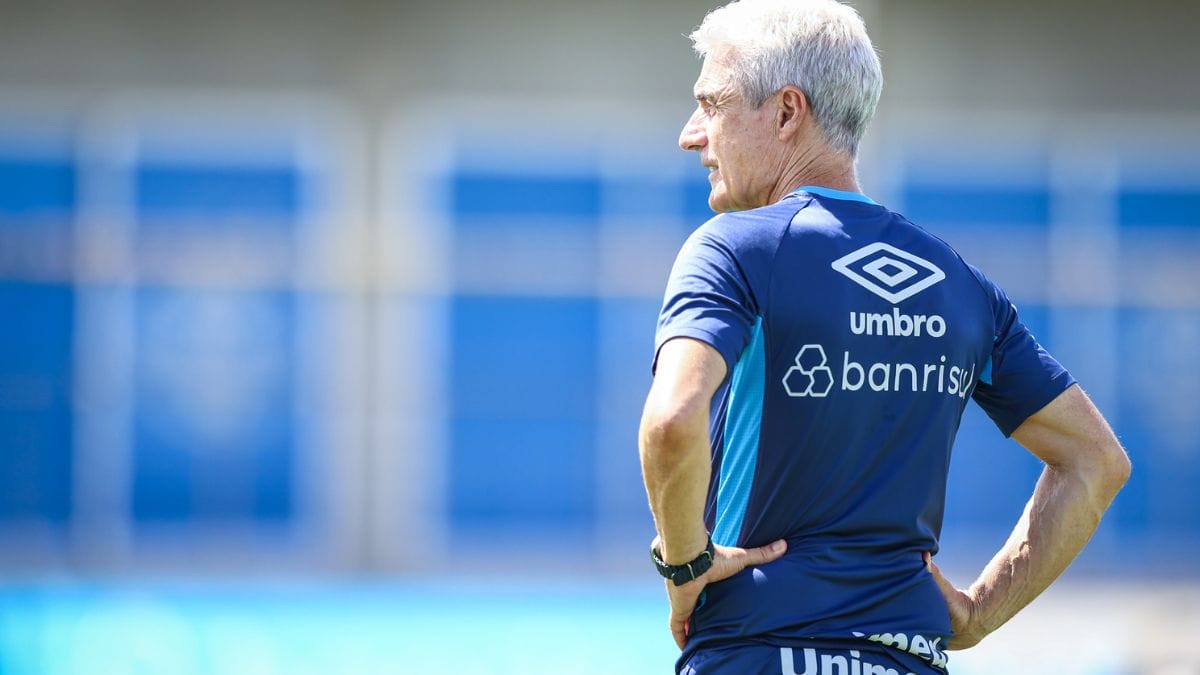 Nardoni vai fazer parte do elenco de Luís Castro (Foto: Lucas Uebel, Grêmio)