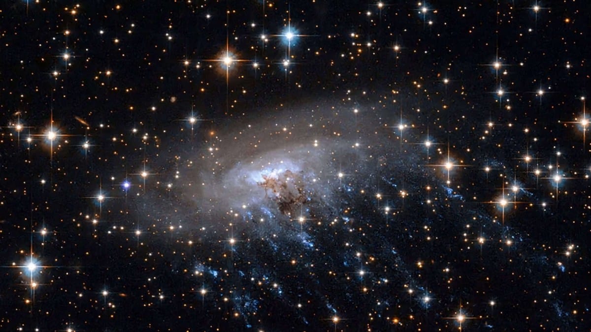 Galáxia ganhou esse apelido devido às faixas estelares que lembram tentáculos de águas-vivas (Foto: NASA/ESA)