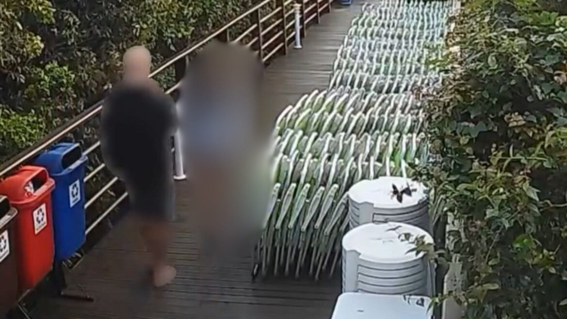 Imagens de adolescente indiciado pela morte do cão Orelha revelaram falha-chave na investigação (1)