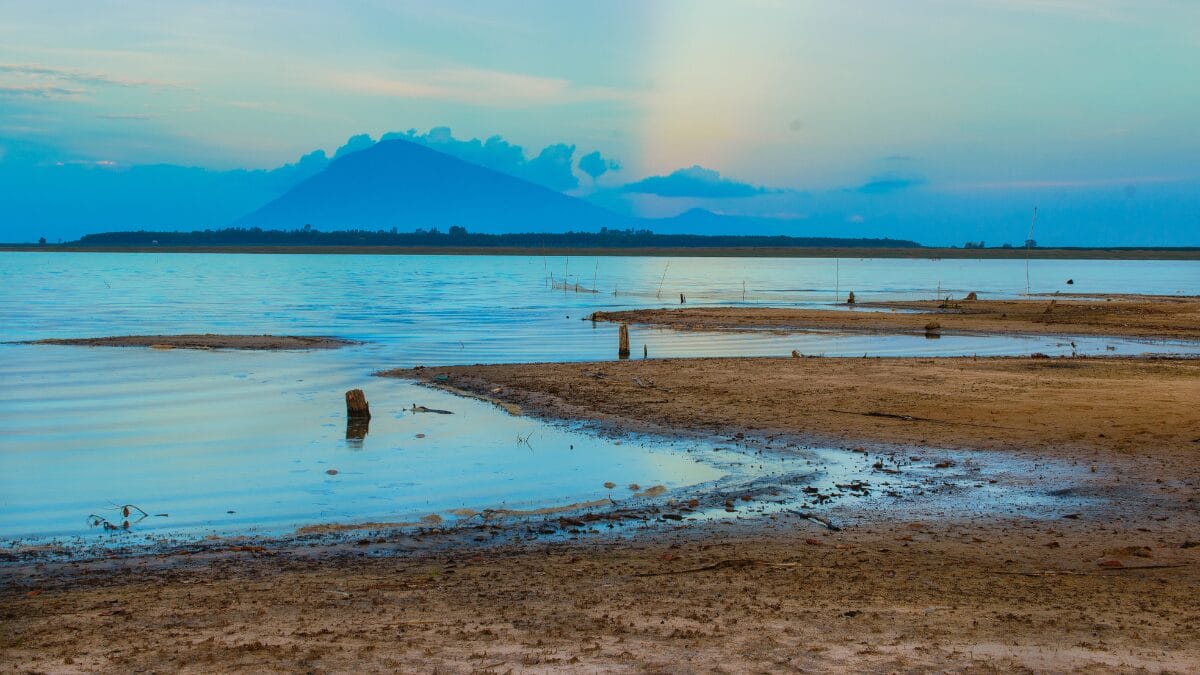 Encosta de terra seca com uma fileira de árvores de copas ralas e galhos visíveis contra um céu azul brilhante.