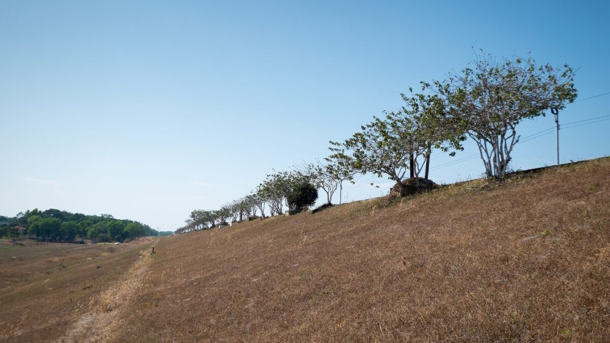 Fotografia em ângulo aberto mostrando a margem gramada do lago à esquerda e a imensidão da água esverdeada à direita. A montanha cônica é visível ao longe sob o céu azul.