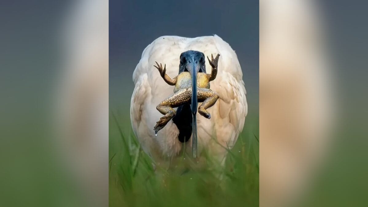 Menino de 14 anos vence o _Oscar_ da fotografia usando c&acirc;mera velha de 10 anos atr&aacute;s