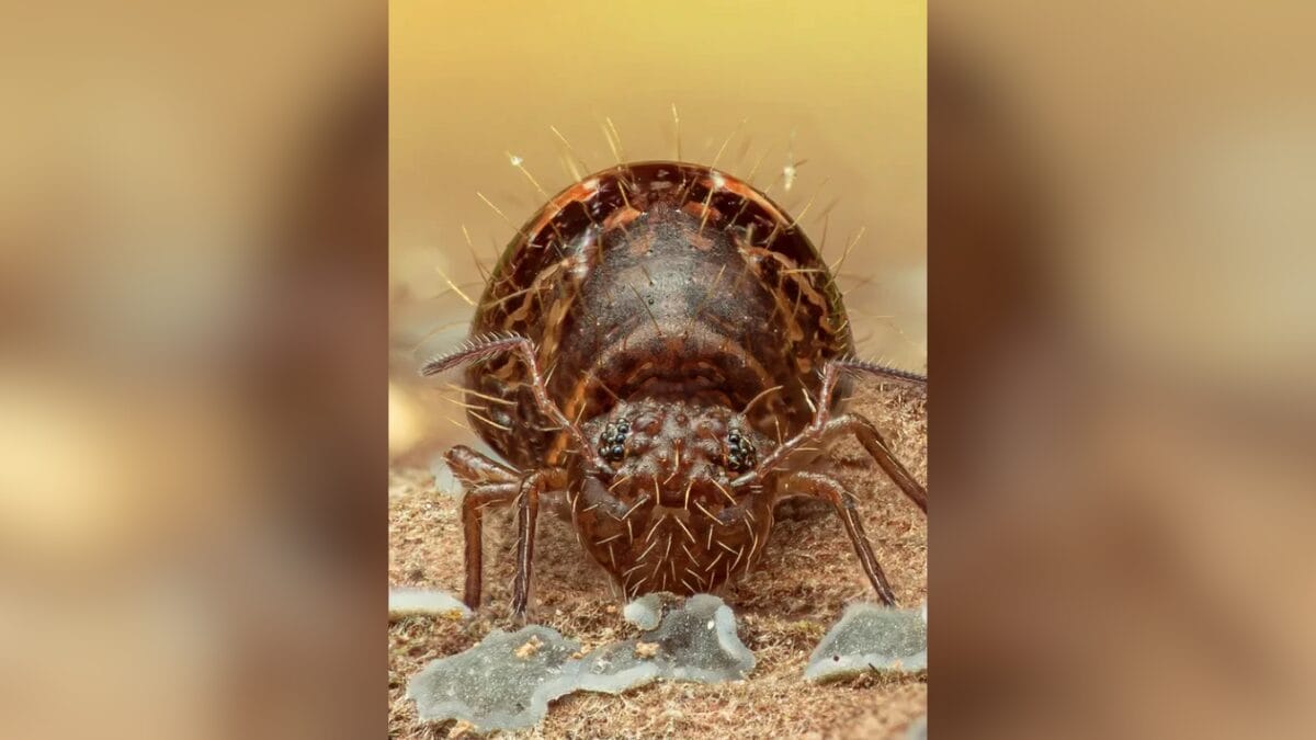 Menino de 14 anos vence o _Oscar_ da fotografia usando c&acirc;mera velha de 10 anos atr&aacute;s