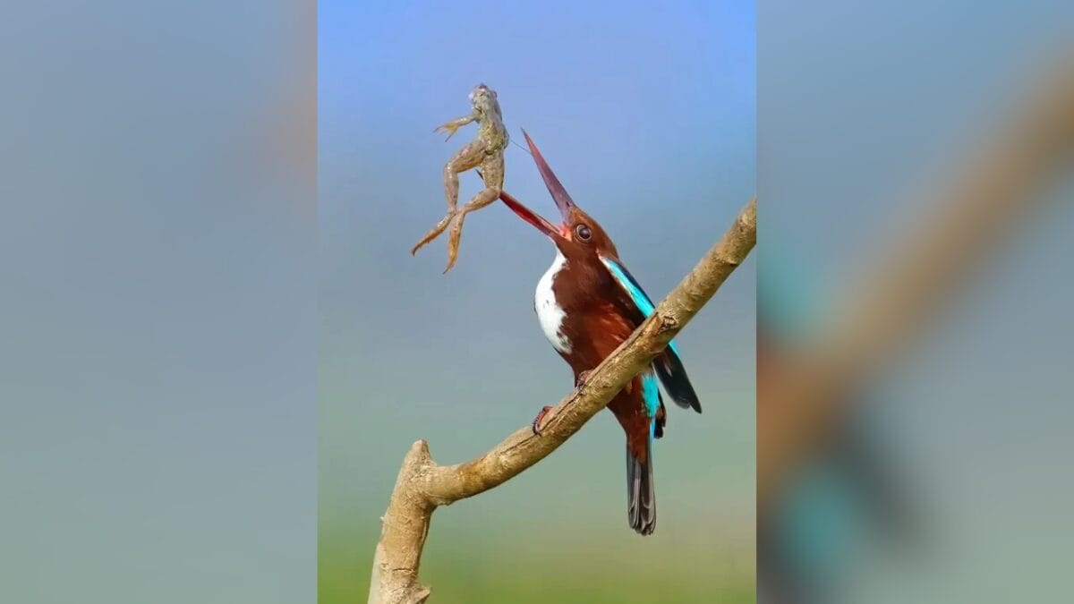 Menino de 14 anos vence o _Oscar_ da fotografia usando c&acirc;mera velha de 10 anos atr&aacute;s