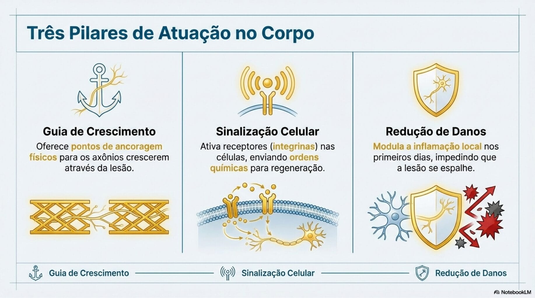 O que &eacute; a Polilaminina