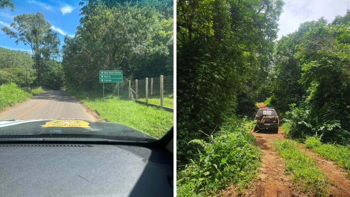 Pai usou eletrochoque para sequestrar filha antes de matá-la em Itajaí, diz denúncia