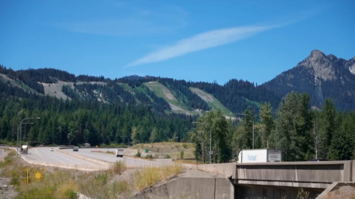 País cria ponte de R$ 100 milhões para veados, cobras e coelhinhos