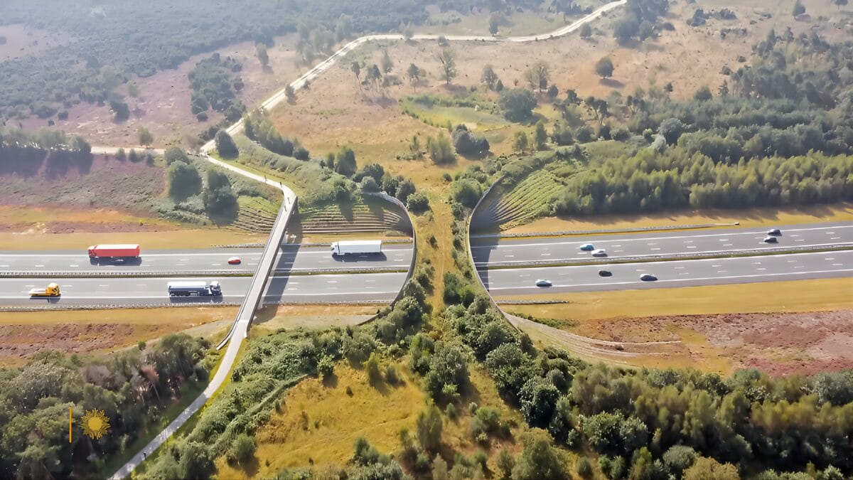 País cria ponte de R$ 100 milhões para veados, cobras e coelhinhos