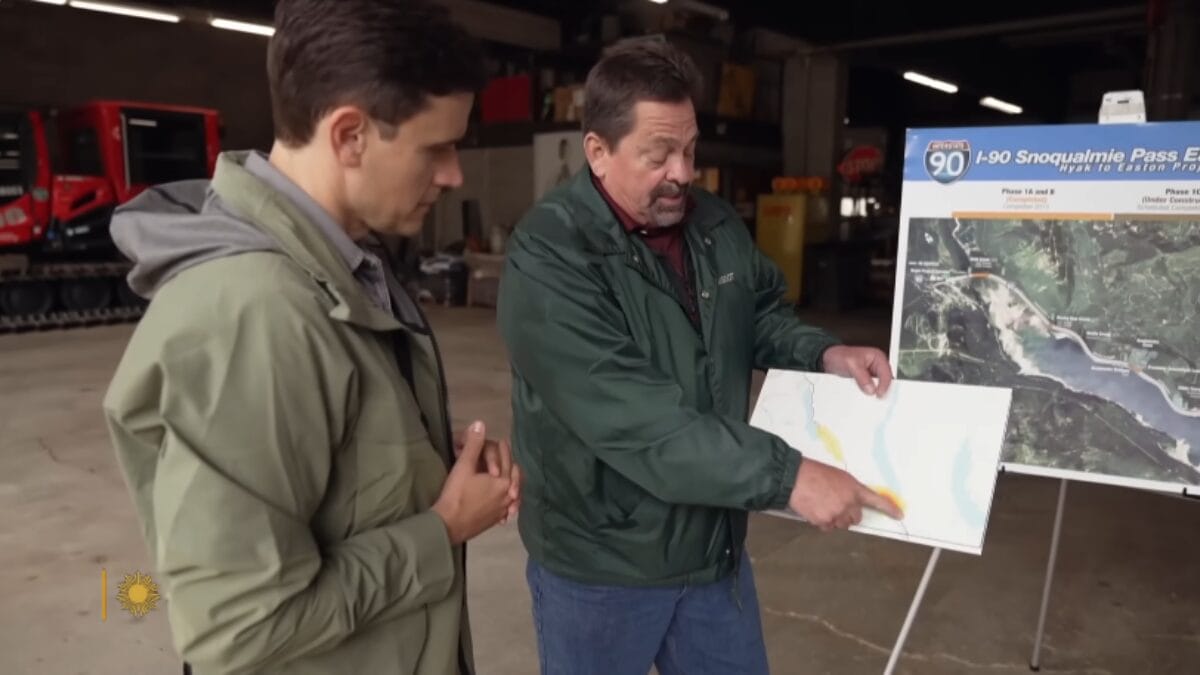 País cria ponte de R$ 100 milhões para veados, cobras e coelhinhos