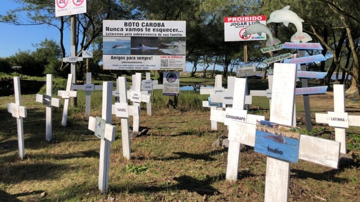 Cidade conta ainda um cemitério para botos