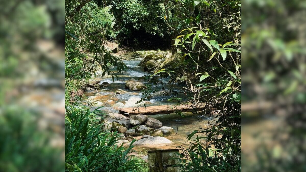 Reserva natural Alto dos Macacos em Cambori&uacute;