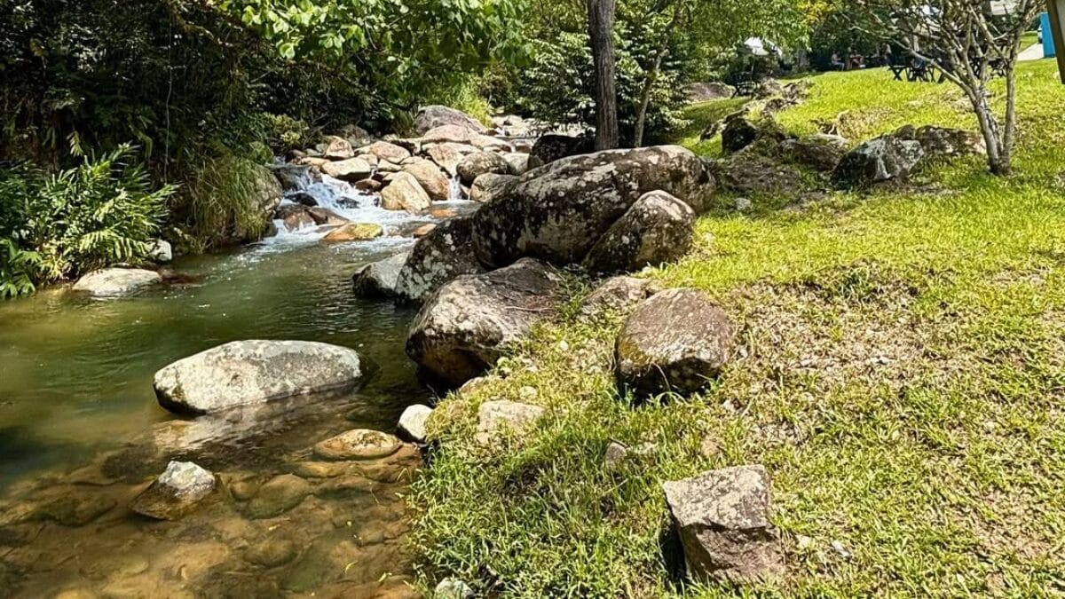 Reserva natural Alto dos Macacos em Cambori&uacute;