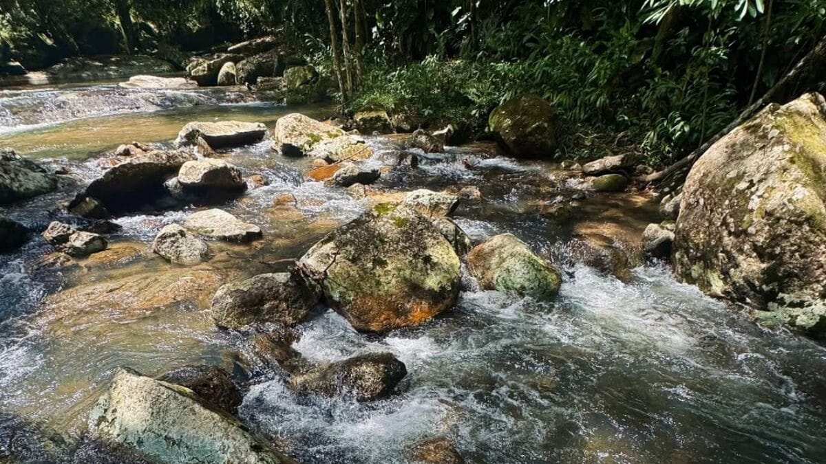 Reserva natural Alto dos Macacos em Cambori&uacute;