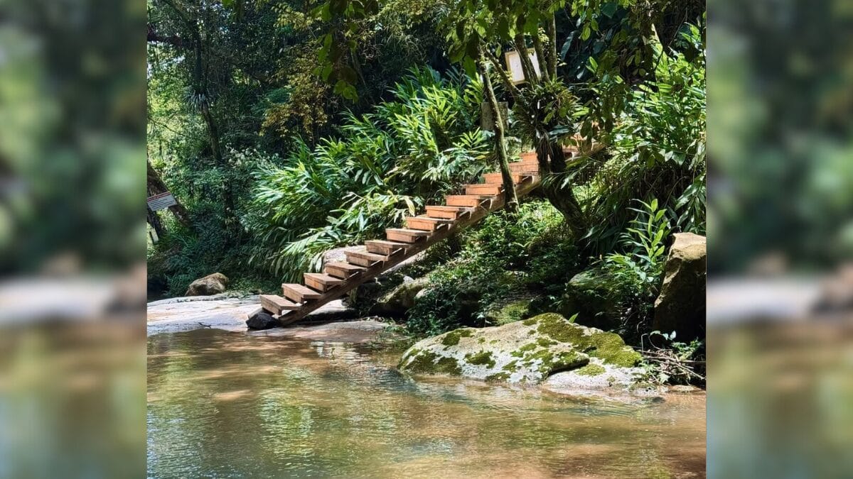 Reserva natural Alto dos Macacos em Cambori&uacute;