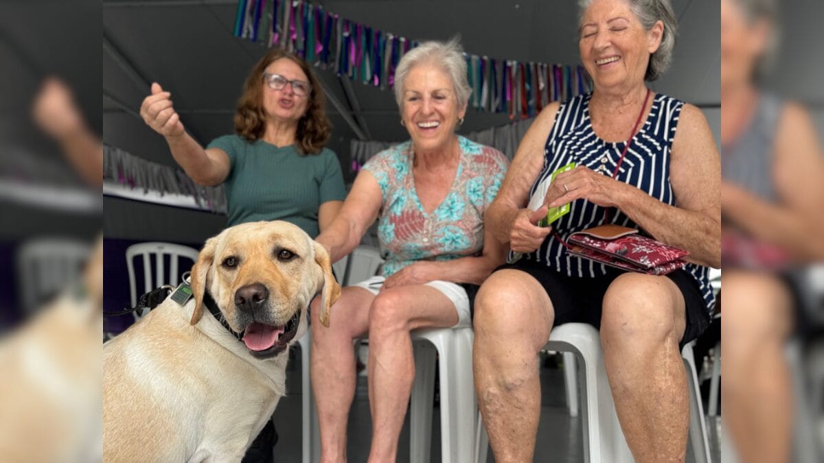 Terapia com cães para idosos em Balneário Camboriú