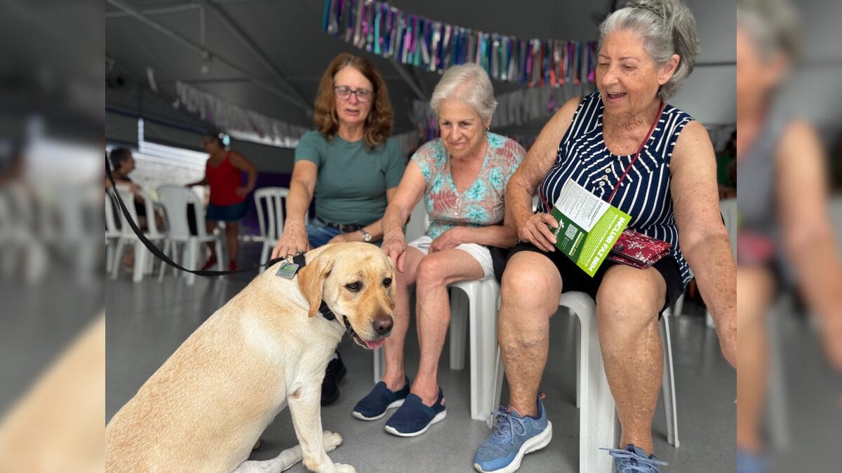Terapia com cães para idosos em Balneário Camboriú