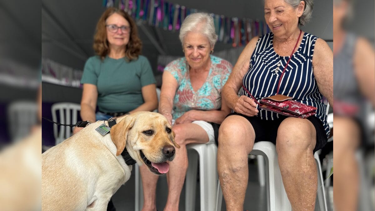 Terapia com cães para idosos em Balneário Camboriú