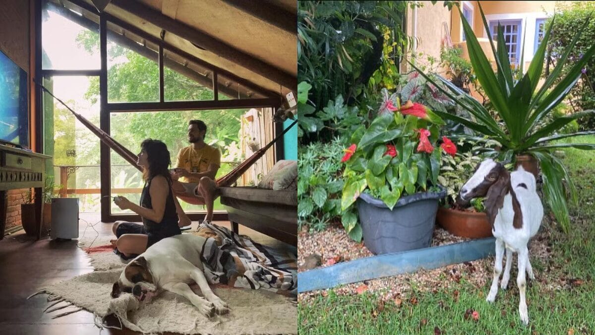 casa sergio guize candinho eta mundo melhor