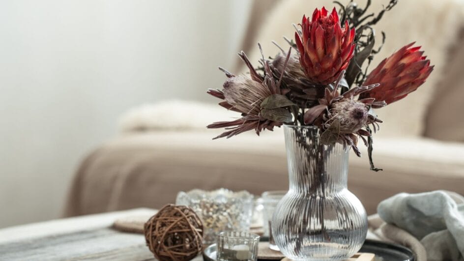 Roteiro atualizado entre Brás e Pari reúne lojas de decoração com variedade, preço acessível e peças que renovam qualquer ambiente (Foto: Banco de imagens)