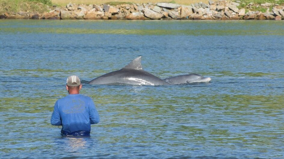 Laguna é uma cidade do Sul de Santa Catarina