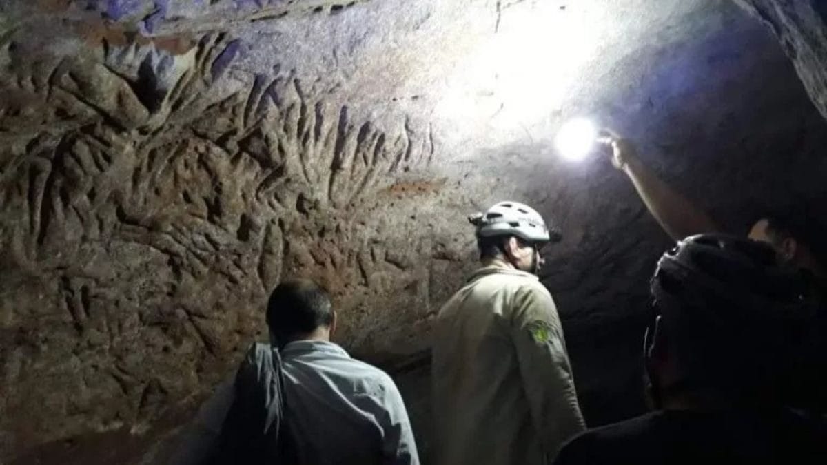 Estruturas eram ocupadas por animais gigantes