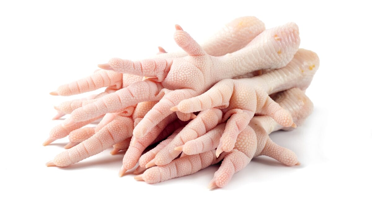 p&eacute; de galinha