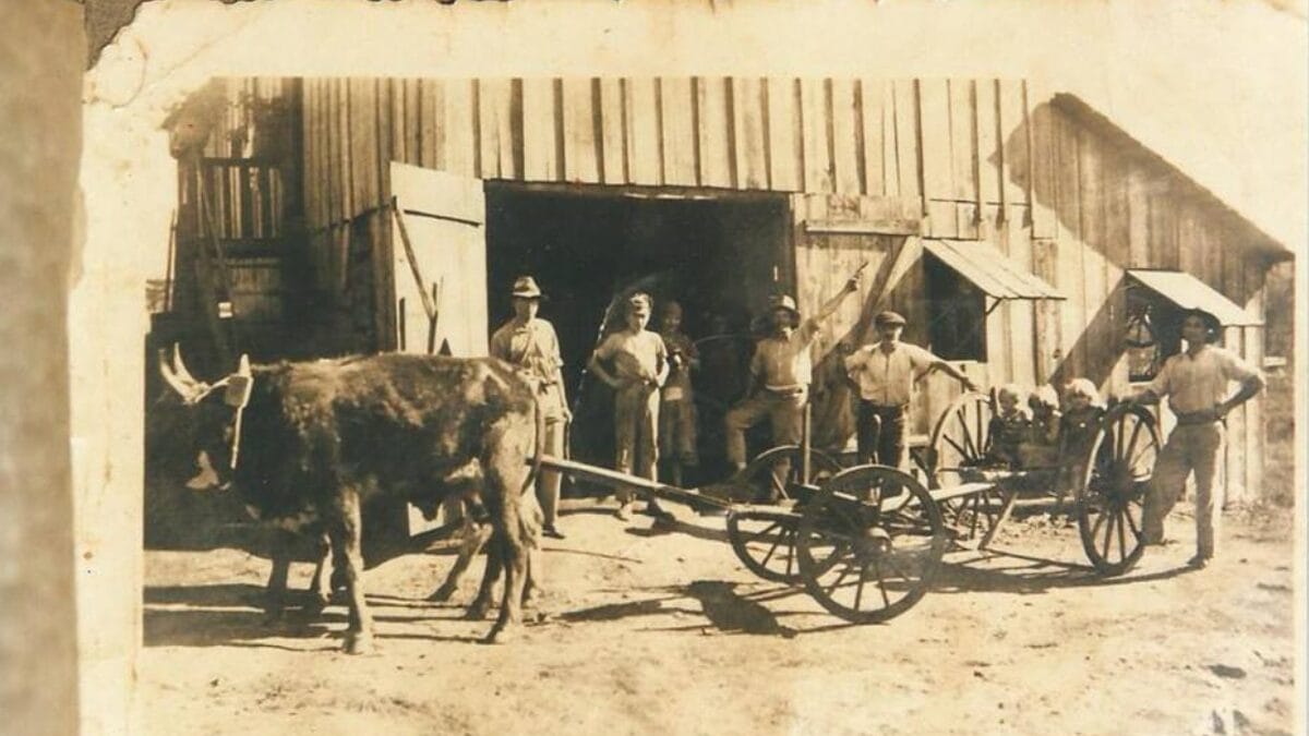 Ponte Serrada celebra 68 anos em 2026 (Foto: Prefeitura de Ponte Serrada, Divulga&ccedil;&atilde;o)