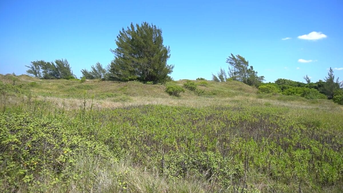 Jaguaruna tem o maior sambaqui do mundo