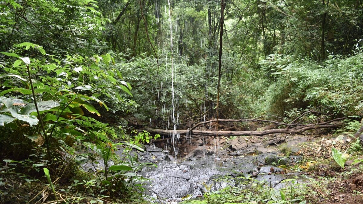 Gruta Pedro Guerreiro em Xaxim