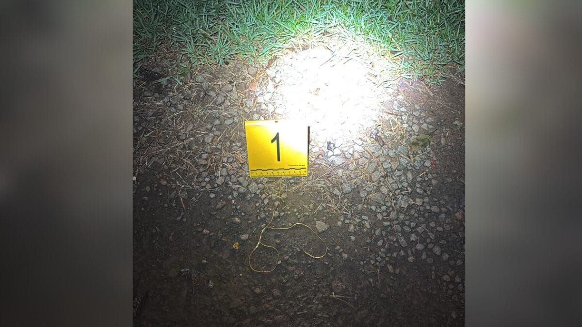 Jovem morto em Maravilha