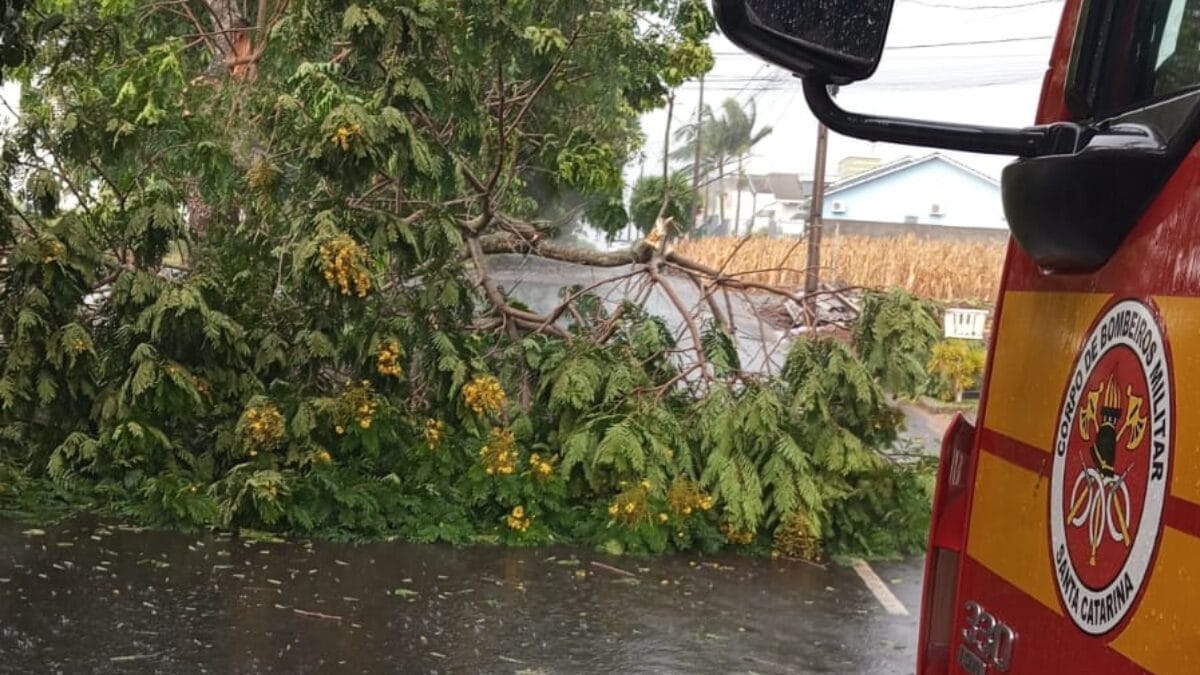 Temporal no Oeste de SC