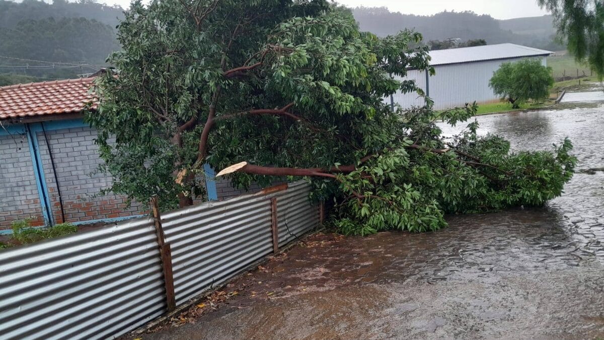 Temporal em Princesa