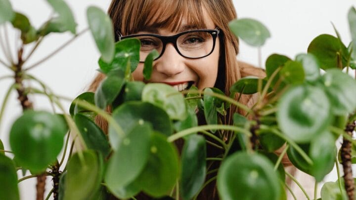 5 plantas baratas que mudam a qualidade do ar em poucos dias