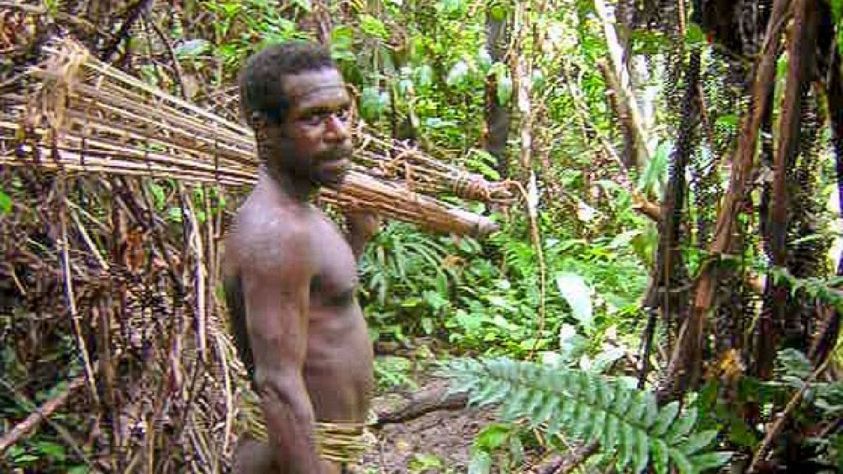 Comunidades que evitam contato externo veem seus territórios encolherem diante da mineração e da pecuária (Foto: 710928003/Wikimedia Commons)