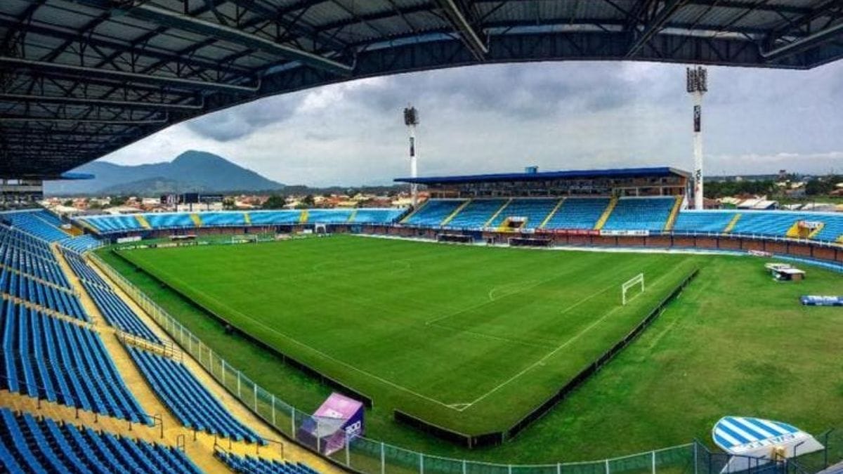 Leão da Ilha joga na Ressacada (Foto: Leandro Boeira, Avaí FC, Divulgação)