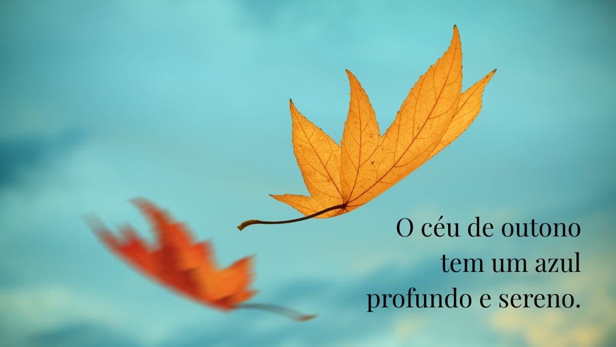 Bem-vindo Outono 2026_ 200 frases e mensagens para celebrar a nova estação (5)