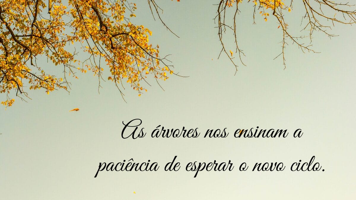 Bem-vindo Outono 2026_ 200 frases e mensagens para celebrar a nova estação (7)