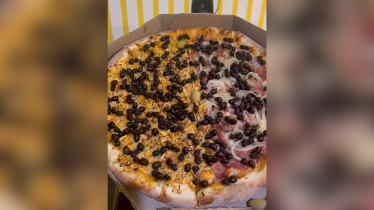 Cidade do interior vende quilo da tanajura por at&eacute; R$ 300 e iguaria vira hamb&uacute;rguer e pizza altinho pernambuco
