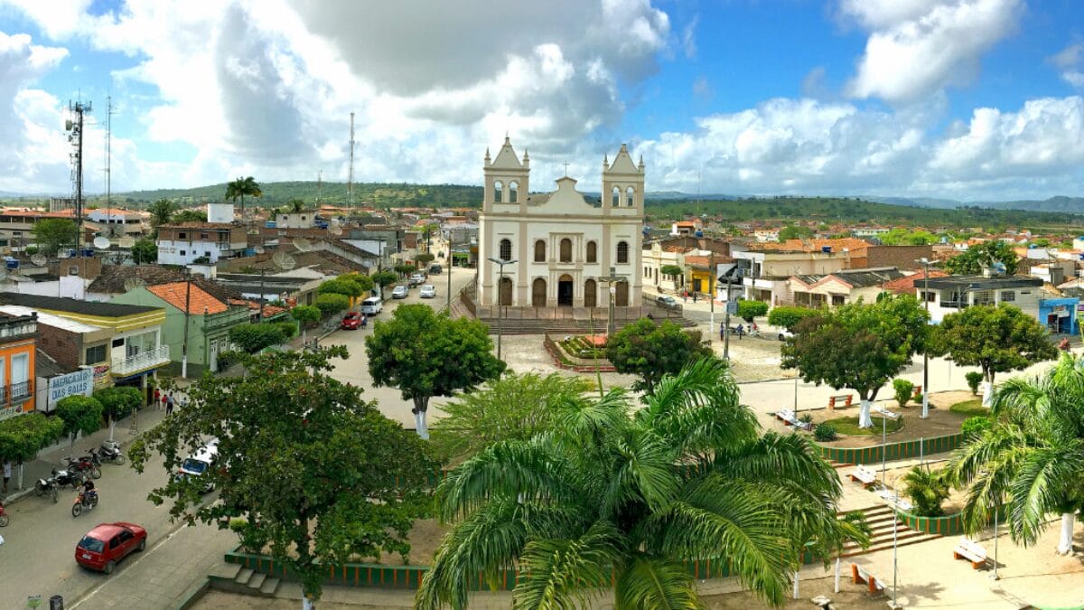Cidade do interior vende quilo da tanajura por at&eacute; R$ 300 e iguaria vira hamb&uacute;rguer e pizza altinho pernambuco