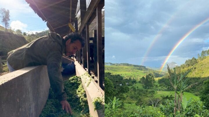 Como é a casa de Marcos Palmeira, o Joaquim da novela Três Graças